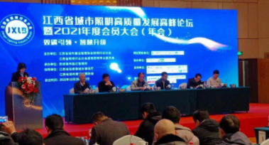 半岛网页版电保受邀参加江西省城市照明高质量发展高峰论坛