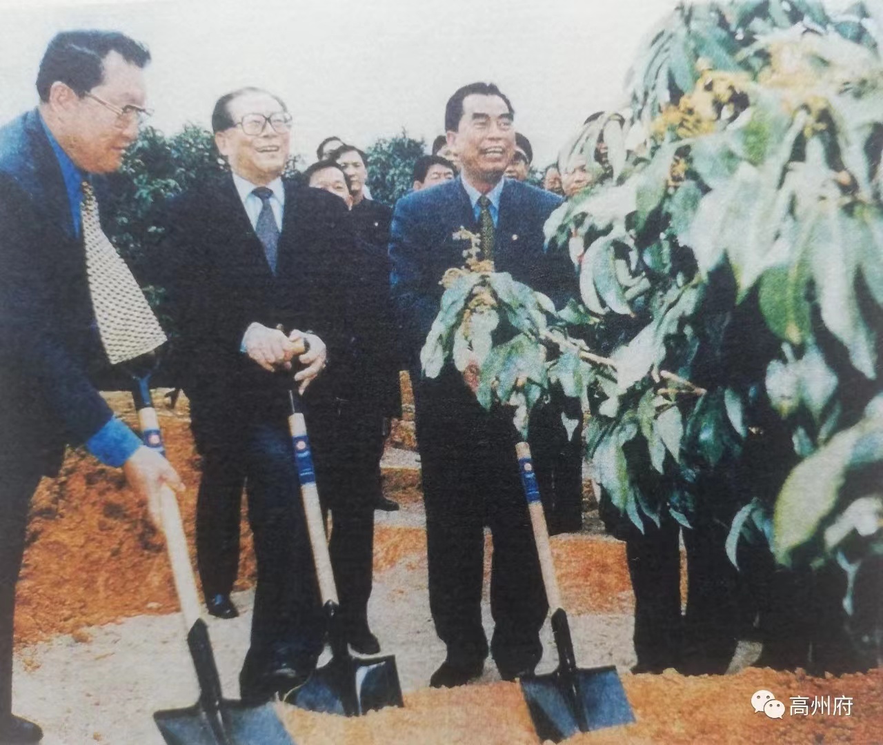 半岛网页版电保-中国荔枝博物馆智慧用电改造
