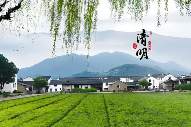 半岛网页版科技2024年清明放假通知 